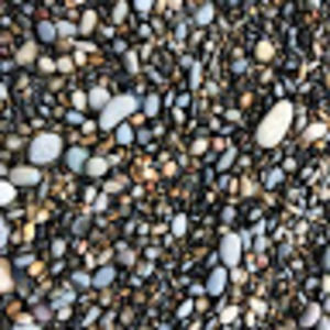 Meet your Posher, Dylan